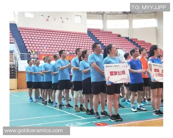 重庆排球队总决赛逆袭之旅揭秘团结与拼搏的力量